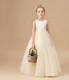 billige -Barn Jente Blomsterjente kjole Festkjole Helfarge Ermeløs Ytelse Bryllup Fest Netting Prinsesse Søt Netting Midt på leggen Tubekjole Tyllkjole Sommer Vår Høst 2-12 år Champagne