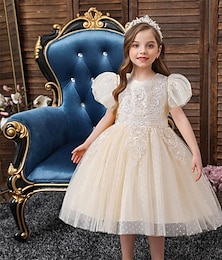 cheap -Kids Girls' Party Dress Solid Color Short Sleeve Formal Performance Anniversary Fashion Princess Polyester Flower Girl's Dress Summer Spring Fall 2-12 Years Champagne Pink Blue