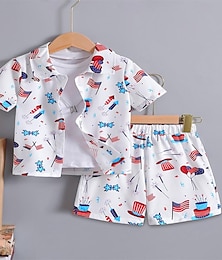 preiswerte -2 Stück Kinder Jungen T-Shirt &Shorts Outfit Unabhängigkeitstag Kurzarm Set Outdoor Mode Alltag Sommer Frühling 3-7 Jahre