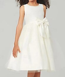 cheap -Kids Girls' Party Dress Solid Color Sleeveless Performance Mesh Princess Sweet Mesh Mid-Calf Sheath Dress Tulle Dress Summer Spring Fall 2-12 Years White Pink