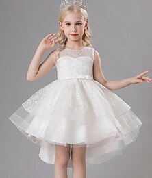cheap -Kids Girls' Party Dress Solid Color Sleeveless Performance Mesh Princess Sweet Mesh Mid-Calf Sheath Dress Tulle Dress Summer Spring Fall 2-12 Years White Pink Sky Blue
