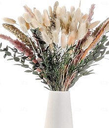 abordables -Juego de decoración de hierba pampas: flores secas naturales para arreglos diy, hogar no tóxico  & decoración de boda, uso sin energía