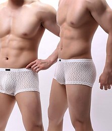 economico -Per uomo 1 pc Mutandine sexy Boxer Pizzo Poliestere Traspirante Morbido Comodo Liscio A vita medio-alta Nero Bianco