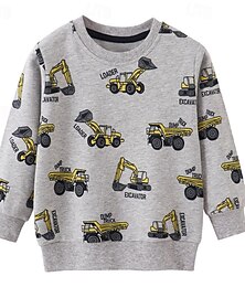 billiga -Pojkar 3D Tecknat Tröja Långärmad Vår Höst Mode Grundläggande Lilla barn (4-7år) 4-7 år Rund hals Utomhus Ledigt Dagligen Normal