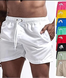 voordelige -Voor heren Lange zwembroeken Zwemshorts Boardshorts Netstof Zak Trekkoord Elastische tailleband Short / Broekje Buiten Sport & Outdoor Sportief Ademend Sneldrogend Zacht Strand Training Getailleerd