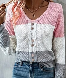 abordables -Femme Pull Chandail Décontractées Bloc de couleur torsadé Col Ras du Cou Tricoté manche longue Hauts réguliers Tricoter du quotidien Rose Claire Printemps Automne