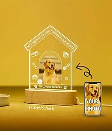 economico -cornice per foto luminosa personalizzata, luce notturna commemorativa per animali domestici, regalo di ricordo, lampada in acrilico alimentata tramite USB, unica per gli amanti degli animali, ideale per la casa, il soggiorno e l'ufficio
