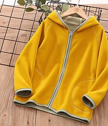 abordables -Unisexo Chico Chica 3D Bloque de color Abrigo Abrigos Manga Larga Otoño Invierno Ropa de calle Deportes Básico Niños 4-12 años Vacaciones Deporte Diario Ajuste regular