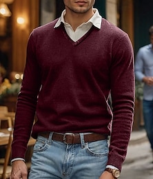 abordables -Homme Robe pull Pull A côtes Tricoter Hauts réguliers Tricoté Coupe Cintrée Plein Col V Moderne contemporain Noël Travail Vêtement Tenue Hiver Vin Noir S M L