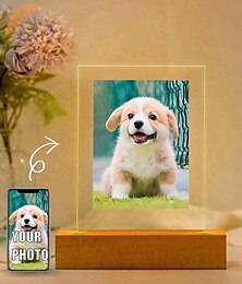 economico -lampada fotografica personalizzata per animali domestici luce notturna in acrilico con foto personalizzata alimentata tramite USB bianco caldo aggiungi la tua immagine l'ideale perfetto per gli amanti