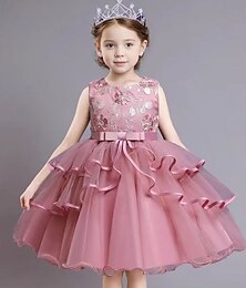 billiga -Barn Flickor Festklänning Grafisk Blomma Ärmlös Speciellt Tillfälle Prinsessa Polyester Festklänning Sommar Vår 4 år + Flerfärgad Champagne Rodnande Rosa
