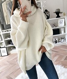 abordables -Femme Pull Chandail Vêtement de rue Travail Décontractées Couleur unie Col Roulé Tricoté manche longue Hauts longs Tricoter Intérieur Noir Blanche Automne Hiver