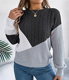 abordables -Femme Pull Chandail Pull Décontractées Flexible Bloc de couleur A côtes Col Ras du Cou Patchwork Tricoté manche longue Hauts réguliers Tricoter Extérieur du quotidien Fin de semaine Noir Rose Claire