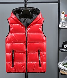 billiga -Herr Pufferväst Hoodie väst Vadderad Gilet Quiltad väst Dagligen Datum Semester Mode Ledigt Höst vinter Ficka Polyester Håller värmen Bekväm Ensfärgat Dragkedja Huva Normal Silver Svart Rubinrött Guld