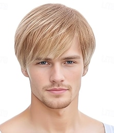 preiswerte -Kunsthaarperücke glatt mit Pony Perücke kurz braunblond Kunsthaar Herren blond braun