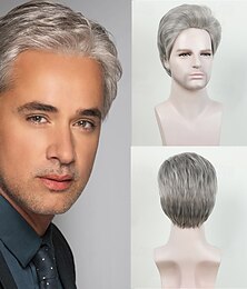 economico -Parrucche sintetiche Liscio Taglio asimmetrico Parrucca Corto Grigio Capelli sintetici Per uomo Disegni alla moda Soffice Naturale Grigio
