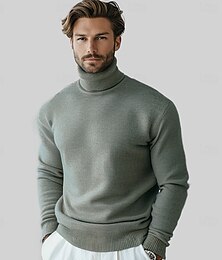 abordables -Hombre Abrigo de cuello alto Tejer Color sólido Cuello Alto Prendas de punto Elegante Navidad Exterior Ropa Otoño Invierno Negro Blanco S M L