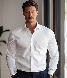 abordables -Hombre Camisa para Vestido Abotonar la camisa Color sólido Escuela Formal Blanco Azul Celeste Claro Azul-Blanco Manga Larga Cuello Vuelto Todas las Temporadas Ropa