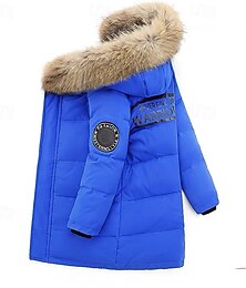 voordelige -Kinderen Jongens Dons Hoodie jas bovenkleding Brief Lange mouw Zak jas Buiten Dagelijks Basic Zwart Rood blauw Herfst Winter 4 jaar +