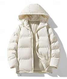 abordables -Hombre Abrigo de invierno Chaqueta acolchada Bolsillo Poliéster Ropa Cotidiana Cita Vacaciones Regular Moda Casual Cómodo Mantiene abrigado Otoño invierno Color sólido/liso Gris oscuro Negro Rojo Azul