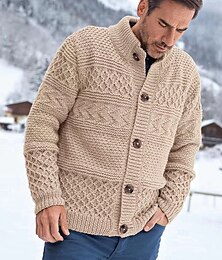 abordables -Homme Gilet Cardigan Pull en tricot torsadé Tricoter Normal Boutonner Poches latérales Couleur unie Col Mode Classique Usage quotidien Rendez-vous Vêtement Tenue Automne hiver Beige M L XL