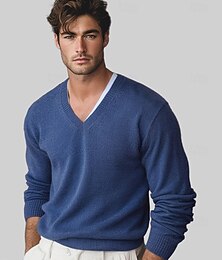 preiswerte -Herren Pullover Stricken Einfarbig V Ausschnitt Strickware Elegant Weihnachten Weihnachtsgeschenke Bekleidung Herbst Winter Weinrot Schwarz S M L
