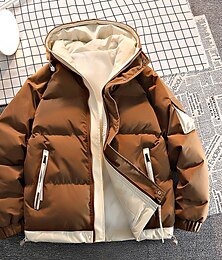 economico -Per uomo Cappotto invernale Piumino Giacca imbottita Giacca con cappuccio Tasche Giornaliero Da mare Per uscire Standard Di tendenza Classico Informale Tenere al caldo Autunno inverno Color Block