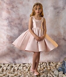 levne -Děti Dívčí Šaty na párty Pevná barva Bez rukávů Výkon Síťka Princeznovské Sladký Síťka Do půli lýtek Plášťové šaty Tylové šaty Léto Jaro Podzim Děti Světlá růžová