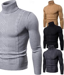 abordables -Homme Pull à col roulé Pull torsadé Tricoter Normal Tricoté Coupe Cintrée Plein Col Roulé Moderne contemporain Travail Usage quotidien Vêtement Tenue Hiver Printemps & Automne Noir Kaki M L XL