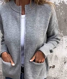economico -Per donna Cappotto invernale Giacca invernale Esterno Strada Giornaliero Autunno Inverno Corto Cappotto Standard Tenere al caldo Traspirante Contemporaneo Moda Giacca Manica lunga Tinta unica Con