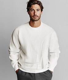 economico -Per uomo Maglione Treccia Maglia Paisley Girocollo Maglieria Elegante Natale All'aperto Abbigliamento Autunno Inverno Nero Bianco S M L