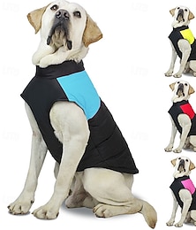 ieftine -Câini Haine Σακάκι Puffer Jack Iarnă Impermeabil Cald Comfortabil În aer liber Interior homewear Mediu
