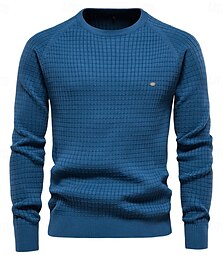 abordables -Hombre Pulóveres Suéter de punto Prendas de punto Estriado Tejer Tops regulares Plaid Cuello Barco Prendas de punto Neutral Exterior Casual Diario Ropa Primavera & Otoño Azul Marino Azul Piscina S M L