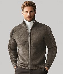 preiswerte -Herren Kaschmir Reißverschluss-Pullover Stricken Einfarbig Rollkragen Weihnachten Strickware Schule Weihnachten Bekleidung Herbst Winter Schwarz Braun S M L