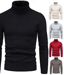 abordables -Homme Pull à col roulé Pull A côtes Tricoter Normal Tricoté Coupe Cintrée Plein Col Roulé Moderne contemporain Travail Usage quotidien Vêtement Tenue Hiver Printemps & Automne Noir Blanche M L XL