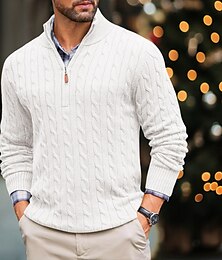 abordables -Homme Pull Chandail Pull torsadé Tricoter Normal Tricoté Coupe Cintrée Plein Quarter Zip Moderne contemporain Travail Usage quotidien Vêtement Tenue Hiver Printemps & Automne Noir Blanche M L XL