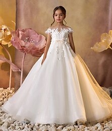 preiswerte -kinderkleidung Mädchen Blumenmädchen Kleid Kleid für die Erstkommunion Party Kleid Feste Farbe Ärmellos Langarm Leistung Hochzeit Party Gitter Prinzessin Süß Gitter Mitte der Wade Etuikleid Tüll-Kleid