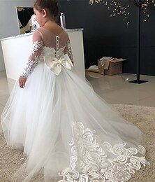 billige -Blomsterpikekjole Barn Jente Prinsesse kjole Ytelse Bryllup Fest Elegant Vakker Blonde Netting Helfarge Langermet Crew-hals Lysegul Hvit 4 år +