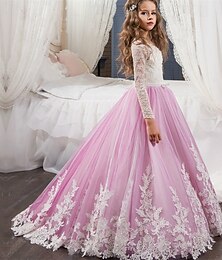 billiga -Brudnäbbsklänning Barn Flickor Prinsessaklänning Prestanda Bröllop Fest Elegant Skön Nät Blomma Långärmad Rund hals Vit Rodnande Rosa 4 år +