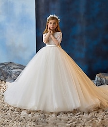 preiswerte -kinderkleidung Mädchen Blumenmädchen Kleid Kleid für die Erstkommunion Party Kleid Feste Farbe Ärmellos Langarm Leistung Hochzeit Party Gitter Prinzessin Süß Gitter Mitte der Wade Etuikleid Tüll-Kleid