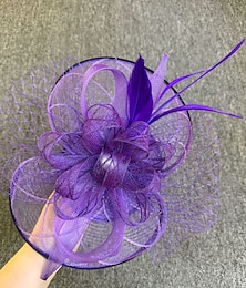 abordables -Fascinateurs Plumes Filet Chapeau Voile Mariage Journée des dames Avec Plume Noeud Casque Couvre-chef