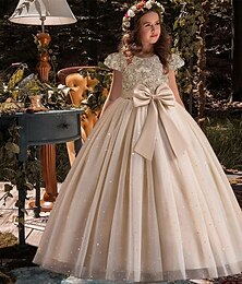 economico -Bambino Da ragazza Abito da damigella Vestito da festa Color Block Senza maniche Prestazioni Matrimonio Feste Nodo della cravatta Bellissimo Dolce Poliestere Maxi Vestito da festa Vestito svasato