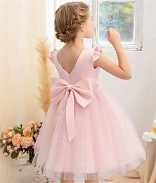 billiga -Brudnäbbsklänning Barn Flickor Prinsessaklänning Prestanda Bröllop Fest Elegant Skön Nät Ensfärgat Ärmlös Rund hals Ljusrosa Grå 4 år +