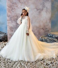 levne -Děti Dívčí Šaty pro první přijímání Šaty na párty Pevná barva Bez rukávů Dlouhý rukáv Výkon Svatební Párty Síťka Princeznovské Sladký Síťka Do půli lýtek Plášťové šaty Tylové šaty Léto Jaro Podzim