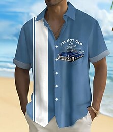 economico -Per uomo A strisce Con lettere stampate Camicia da bowling Camicia con bottoni Manica corta Moda Casual Da mare Sportivo Abbigliamento mare Estate Primavera Collo ripiegabile camicie con colletto Una
