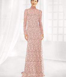 abordables -Robe mère de la mariée fourreau  colonne élégante simple minimaliste col montant longueur de sol tulle manches longues avec appliqué en dentelle florale
