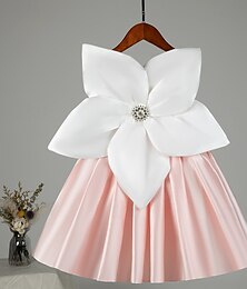 voordelige -Bloemenmeisjesjurk kinderen Voor meisjes Prinses jurk Prestatie Bruiloft Feest Elegant Mooi Netstof Effen Kleur Mouwloos Strakke ronde hals Geel Blozend Roze 4 jaar +