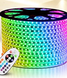 economico -Striscia luminosa a LED RGB IC intelligente da 16-100 piedi - Luci multicolore impermeabili da 24 V con app &sincronizzazione musicale indirizzabile per camera da letto &uso esterno 1 rotolo