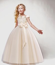levne -Děti Dívčí Šaty na párty Pevná barva Bez rukávů Zvláštní příležitosti Pegeant Volná záda Princeznovské Sladký Polyester Maxi Šaty na párty Léto Jaro 4-13 let Šampaňská Světlá růžová Fialová