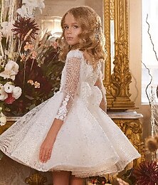 economico -Abito da Ballo Lungo alla Gamba per Ragazze da Fiore Abito Quinceanera Frozen Elsa Abito Carino per Prom Tulle con Arricciature Stile Reale Tutu per 3-16 Anni